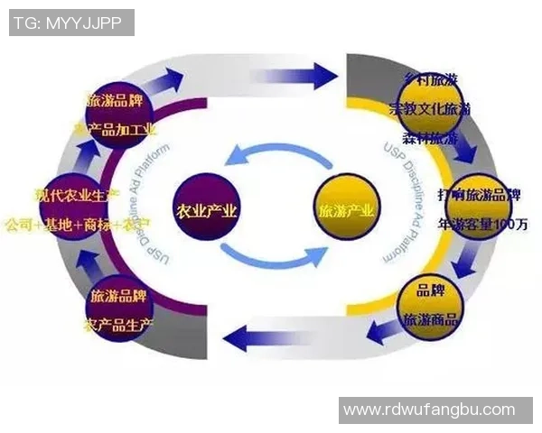 陈龙与足球明星的友谊与合作探讨及其对体育文化的影响分析